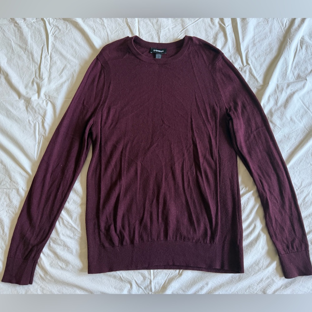 Express Men's Wool Crewneck Sweater